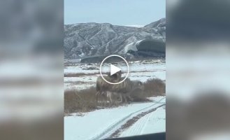 Минимум усилий — максимум контроля