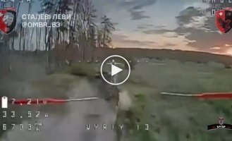 Оператори дронів 63-й ОМБр полюють у лісі на російський танк