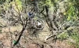 A shelter with Russian invaders is blown to pieces after an attack by our paratroopers