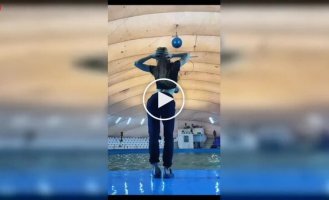 Дельфин неожиданно прервал танец девушки во время съемки