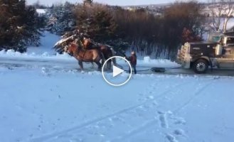 Две лошадиные силы спасают грузовик, застрявший на ледяной горке