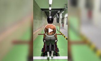 Тренировка с утра для красивой девушки