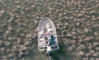 A man sailed on a transparent boat among stingrays