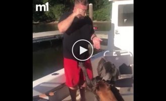 Dog pushes owner overboard of boat