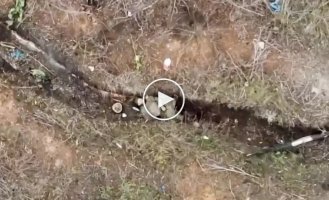 A Russian soldier pretends to be dead and then loses his head from a drone strike Wild Hornet