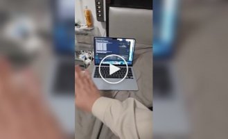 Разработчик научил Mac стонать при ударах по нему