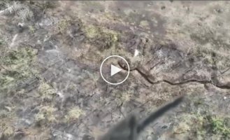 Avdiivka direction, Ukrainian drone drops incendiary ammunition and tear gas on Russian positions