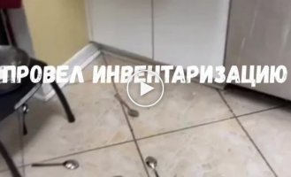 Попугай хозяйничает на кухне