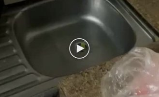 Добрый день, когда обед