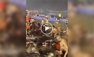 Not for the faint of heart: a public swimming pool in India