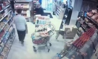 A smart dog stole lavash from a store