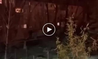 В соцсетях публикуют видео из Донецкой области. Там сейчас так