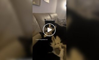 Пухнаста бабуся доглядає за онуком