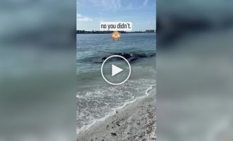 Almost perfect crime