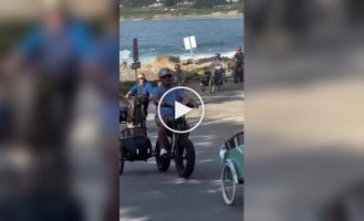 In the US, they held a bike ride of corgis in cradles