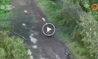 Наземный робот уничтожает оккупантов из пулемета на Сумщине
