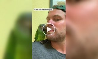 Велике дякую, що врятував мене