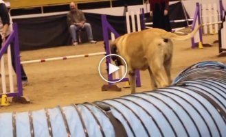 Настоящий чемпион! И не важно что в личном зачёте!