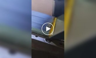 Красивое и удивительное (короткие видео). Выпуск 58