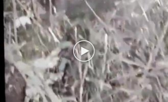 A wounded Russian soldier blows himself up with a grenade in the Bakhmut direction