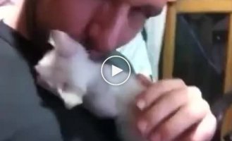 Спасенный котенок благодарит поцелуйчиками