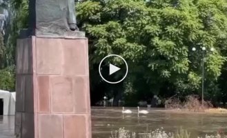 New Kakhovka. The water level has already risen by 10 meters