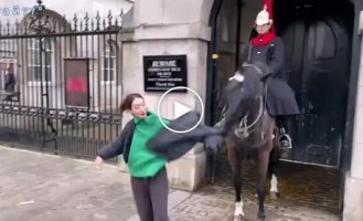 A royal guard stallion ruined a photo shoot and bit an impudent tourist