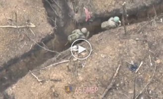 Ukrainian soldiers eliminated a group of invaders using drones in Zaporozhye