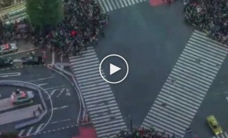 View from above: Shibuya Crossing in Tokyo