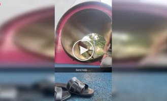 Бігове колесо для людини: легко тільки на перший погляд