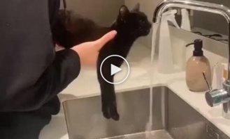 How to restore the cat's fluid supply manually