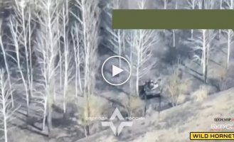 The Legion of Freedom of Russia destroyed two BMD-2 occupiers with Wild Hornets drones on the territory of the Belgorod region