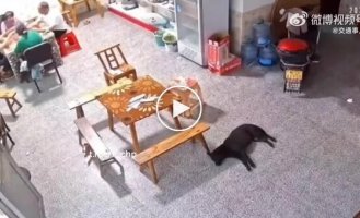 Riddle: what will happen in the house in 10 seconds