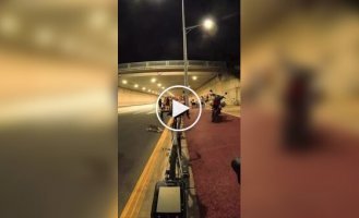 Видимо, что-то личное: кот устроил атаку на велосипеды