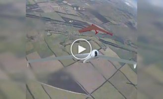 Kamikaze drone destroys enemy Zala reconnaissance UAV in air in Pokrovsky direction