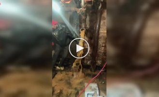 Сантехнічний сюрприз