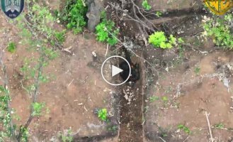 Pilots of the 414th SBS brigade destroyed three occupiers in the landing on Donbass