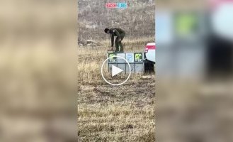 Ведмідь спробував напасти на свого рятівника