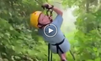 "You won't get through!": A sloth blocked the path during a zipline