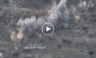 Ukrainian artillery found a group of red larvae