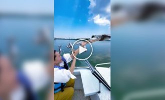У Китаї люди доторкнулися до гусей, що пролітають.