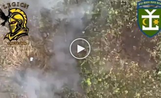 Голий російський загарбник із відірваними ногами вмирає у полі