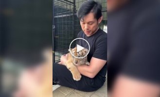 A trainer showed the story of the friendship between his dog and the tiger cub he took in several years ago