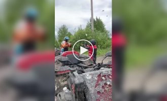 Большое количество бабочек-боярышниц под Миассом