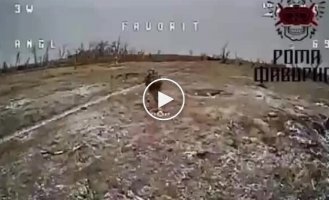 A selection of the most ridiculous attempts by occupiers to escape from Ukrainian FPV drones