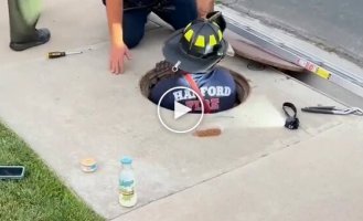 An unusual Florida resident fell into a manhole and they spent several hours trying to save him.