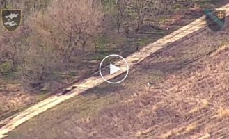 Marines destroyed the Russian Lancet launcher in the Kherson direction