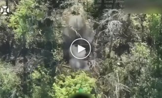 Пограничники уничтожили разведывательный дрон и станции связи российских захватчиков