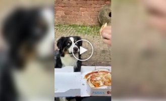 Dog's eyes widen at the sight of a slice of pizza