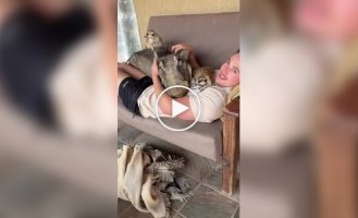 Тимон и Пумба в африканском заповеднике